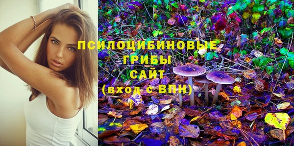 прущий лед Верея